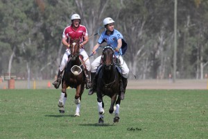 Joe Wamsley and Champion Australian Stock Horse Lulus Gift competing for New South Wales at Barastoc. Photo by Cathy Finlayson.