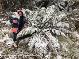 Debbie Startin in the Barrington Tops.