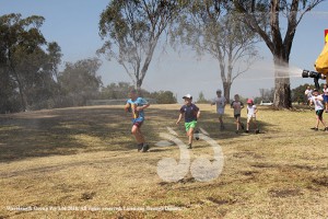 Running the Rural Fire Service gauntlet of sprays