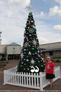 Cr Lee Watts with Scone's Christmas tree