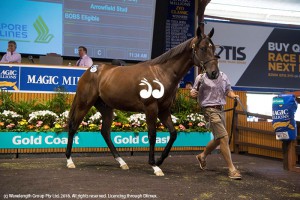 Lot 52 a colt by Fastnet Rock and Risk Aversion was purchased by Coolmore for $1,000,000.