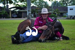Guy McLean will perform at the Horse Festival this year.