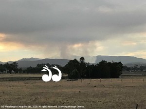 Smoke from the Towarri National Park controlled burn outside Scone.