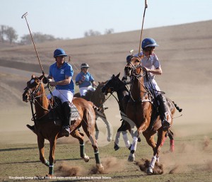 Ellerston Blue played Ellerston Grey in dusty conditions