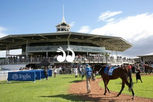 The Inglis Challenge 2 year old race will be an added incentive for buyers at this year's Inglis Calssic Yearling Sale.