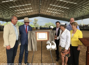 Unvieling the plaque at the White Park arena: L-R: Michael Johnsen MP, Barnaby Joyce MP, Mayor Wayne Bedggood, Dr Judy White OAM, UHSC general manager Steve McDonald and Cr Lee Watts.