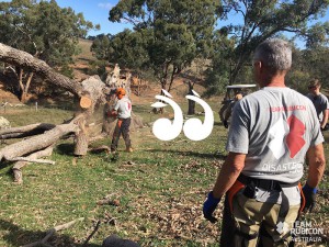 “Greyshirt” volunteers working together to clear timber for a farmer near Scone.