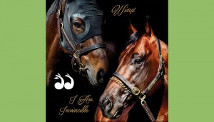 Winx will be covered by I Am Invincible at Yarraman Park in Scone.