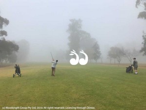 Scott Collins and Dany Malone watching their balls disappear into the fog on Saturday. 